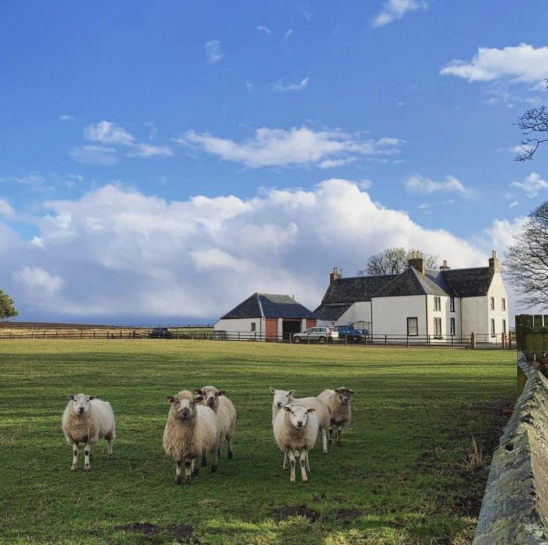 Tarrel Farmhouse Portmahomack Экстерьер фото